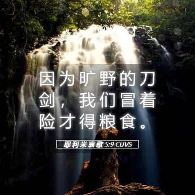 Picture 05 - 耶 利 米 哀 歌 5:9 CUVS - 因 为 旷 野 的 刀 剑 ， 我 们 冒 着 - Bible Verse Picture