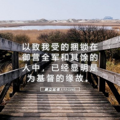 Picture 05 - 腓 立 比 书 1:13 CUVS - 以 致 我 受 的 捆 锁 在 御 营 全 军 - Bible Verse Picture