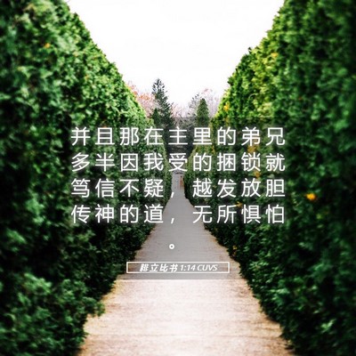 Picture 05 - 腓 立 比 书 1:14 CUVS - 并 且 那 在 主 里 的 弟 兄 多 半 因 - Bible Verse Picture
