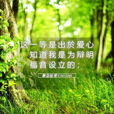 Picture 05 - 腓 立 比 书 1:16 CUVS - 这 一 等 是 出 於 爱 心 ， 知 道 我 - Bible Verse Picture