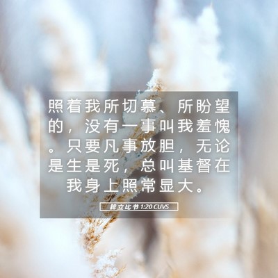 Picture 05 - 腓 立 比 书 1:20 CUVS - 照 着 我 所 切 慕 、 所 盼 望 的 ， - Bible Verse Picture
