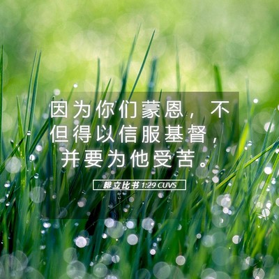 Picture 05 - 腓 立 比 书 1:29 CUVS - 因 为 你 们 蒙 恩 ， 不 但 得 以 信 - Bible Verse Picture