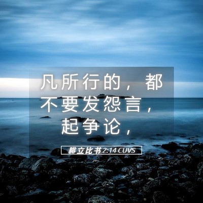 Picture 05 - 腓 立 比 书 2:14 CUVS - 凡 所 行 的 ， 都 不 要 发 怨 言 ， - Bible Verse Picture