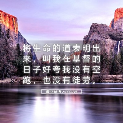 Picture 05 - 腓 立 比 书 2:16 CUVS - 将 生 命 的 道 表 明 出 来 ， 叫 我 - Bible Verse Picture
