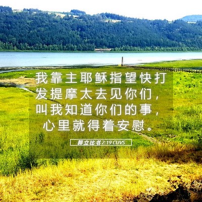 Picture 05 - 腓 立 比 书 2:19 CUVS - 我 靠 主 耶 稣 指 望 快 打 发 提 摩 - Bible Verse Picture