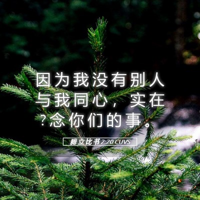 Picture 05 - 腓 立 比 书 2:20 CUVS - 因 为 我 没 有 别 人 与 我 同 心 ， - Bible Verse Picture