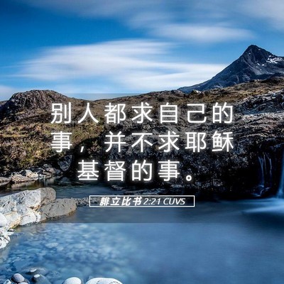 Picture 05 - 腓 立 比 书 2:21 CUVS - 别 人 都 求 自 己 的 事 ， 并 不 求 - Bible Verse Picture