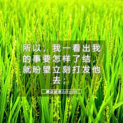 Picture 05 - 腓 立 比 书 2:23 CUVS - 所 以 ， 我 一 看 出 我 的 事 要 怎 - Bible Verse Picture