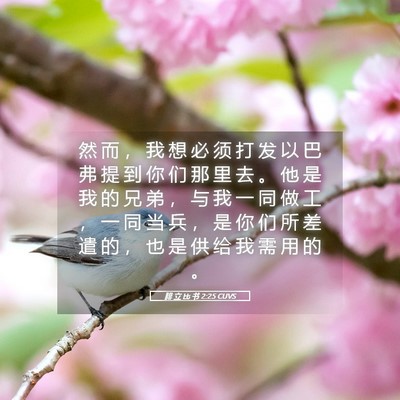 Picture 05 - 腓 立 比 书 2:25 CUVS - 然 而 ， 我 想 必 须 打 发 以 巴 弗 - Bible Verse Picture