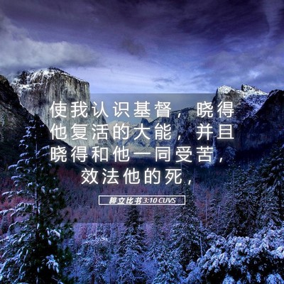 Picture 05 - 腓 立 比 书 3:10 CUVS - 使 我 认 识 基 督 ， 晓 得 他 复 活 - Bible Verse Picture