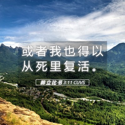 Picture 05 - 腓 立 比 书 3:11 CUVS - 或 者 我 也 得 以 从 死 里 复 活 - Bible Verse Picture
