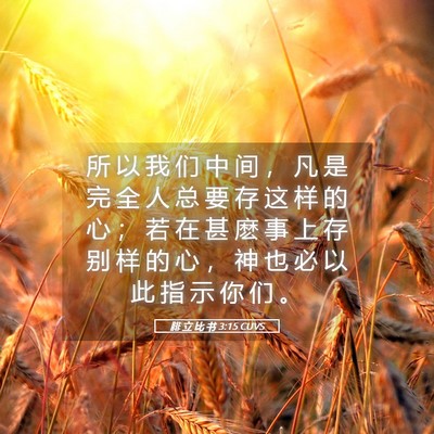 Picture 05 - 腓 立 比 书 3:15 CUVS - 所 以 我 们 中 间 ， 凡 是 完 全 人 - Bible Verse Picture
