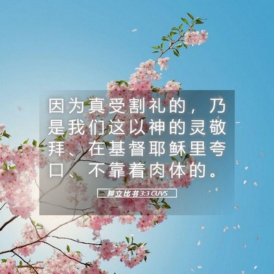 Picture 05 - 腓 立 比 书 3:3 CUVS - 因 为 真 受 割 礼 的 ， 乃 是 我 们 - Bible Verse Picture