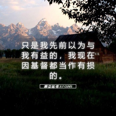 Picture 05 - 腓 立 比 书 3:7 CUVS - 只 是 我 先 前 以 为 与 我 有 益 的 - Bible Verse Picture