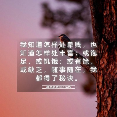 Picture 05 - 腓 立 比 书 4:12 CUVS - 我 知 道 怎 样 处 卑 贱 ， 也 知 道 - Bible Verse Picture