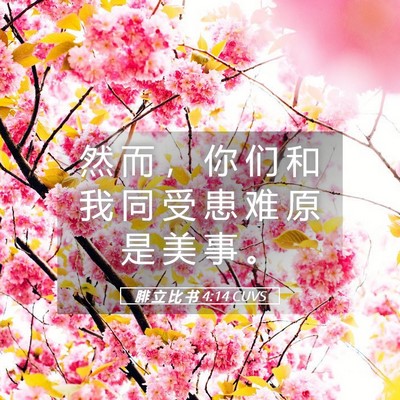 Picture 05 - 腓 立 比 书 4:14 CUVS - 然 而 ， 你 们 和 我 同 受 患 难 原 - Bible Verse Picture