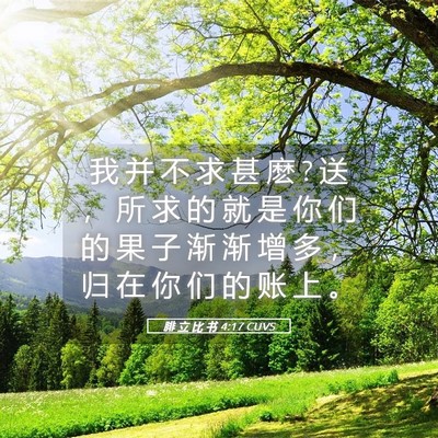 Picture 05 - 腓 立 比 书 4:17 CUVS - 我 并 不 求 甚 麽 ? 送 ， 所 求 的 就 - Bible Verse Picture
