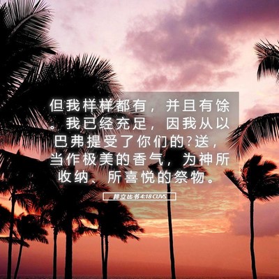 Picture 05 - 腓 立 比 书 4:18 CUVS - 但 我 样 样 都 有 ， 并 且 有 馀 。 - Bible Verse Picture