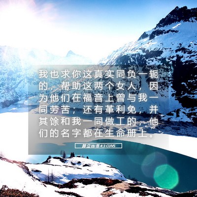 Picture 05 - 腓 立 比 书 4:3 CUVS - 我 也 求 你 这 真 实 同 负 一 轭 的 - Bible Verse Picture