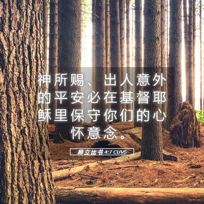 Picture 05 - 腓 立 比 书 4:7 CUVS - 神 所 赐 、 出 人 意 外 的 平 安 必 - Bible Verse Picture