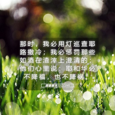 Picture 05 - 西 番 雅 书 1:12 CUVS - 那 时 ， 我 必 用 灯 巡 查 耶 路 撒 - Bible Verse Picture