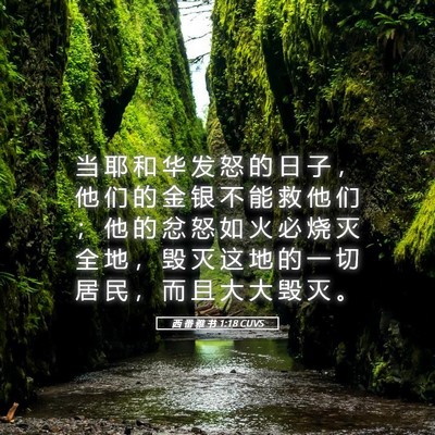 Picture 05 - 西 番 雅 书 1:18 CUVS - 当 耶 和 华 发 怒 的 日 子 ， 他 们 - Bible Verse Picture