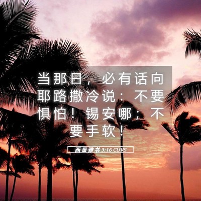 Picture 05 - 西 番 雅 书 3:16 CUVS - 当 那 日 ， 必 有 话 向 耶 路 撒 冷 - Bible Verse Picture