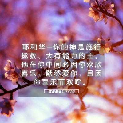 Picture 05 - 西 番 雅 书 3:17 CUVS - 耶 和 华 ─ 你 的 神 是 施 行 拯 救 - Bible Verse Picture