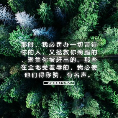 Picture 05 - 西 番 雅 书 3:19 CUVS - 那 时 ， 我 必 罚 办 一 切 苦 待 你 - Bible Verse Picture