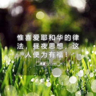 Picture 05 - 诗 篇 1:2 CUVS - 惟 喜 爱 耶 和 华 的 律 法 ， 昼 夜 - Bible Verse Picture