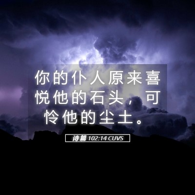 Picture 05 - 诗 篇 102:14 CUVS - 你 的 仆 人 原 来 喜 悦 他 的 石 头 - Bible Verse Picture