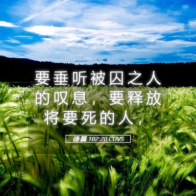 Picture 05 - 诗 篇 102:20 CUVS - 要 垂 听 被 囚 之 人 的 叹 息 ， 要 - Bible Verse Picture