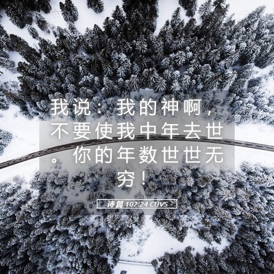 Picture 05 - 诗 篇 102:24 CUVS - 我 说 ： 我 的 神 啊 ， 不 要 使 我 - Bible Verse Picture