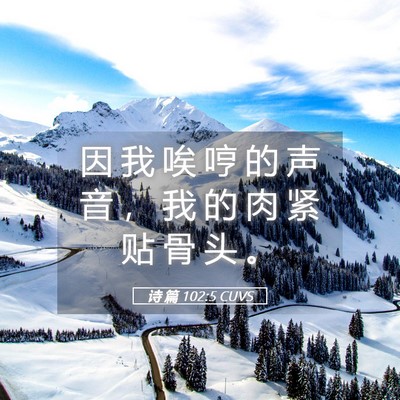 Picture 05 - 诗 篇 102:5 CUVS - 因 我 唉 哼 的 声 音 ， 我 的 肉 紧 - Bible Verse Picture