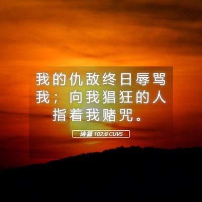 Picture 05 - 诗 篇 102:8 CUVS - 我 的 仇 敌 终 日 辱 骂 我 ； 向 我 - Bible Verse Picture