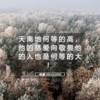 Picture 05 - 诗 篇 103:11 CUVS - 天 离 地 何 等 的 高 ， 他 的 慈 爱 - Bible Verse Picture