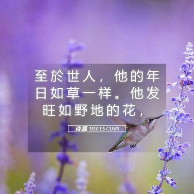 Picture 05 - 诗 篇 103:15 CUVS - 至 於 世 人 ， 他 的 年 日 如 草 一 - Bible Verse Picture
