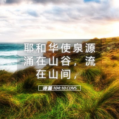Picture 05 - 诗 篇 104:10 CUVS - 耶 和 华 使 泉 源 涌 在 山 谷 ， 流 - Bible Verse Picture