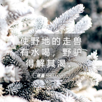 Picture 05 - 诗 篇 104:11 CUVS - 使 野 地 的 走 兽 有 水 喝 ， 野 驴 - Bible Verse Picture