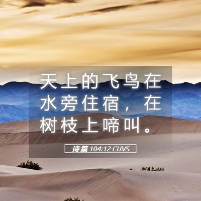 Picture 05 - 诗 篇 104:12 CUVS - 天 上 的 飞 鸟 在 水 旁 住 宿 ， 在 - Bible Verse Picture