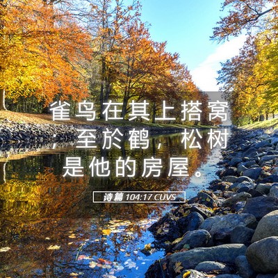 Picture 05 - 诗 篇 104:17 CUVS - 雀 鸟 在 其 上 搭 窝 ； 至 於 鹤 ， - Bible Verse Picture