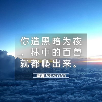 Picture 05 - 诗 篇 104:20 CUVS - 你 造 黑 暗 为 夜 ， 林 中 的 百 兽 - Bible Verse Picture