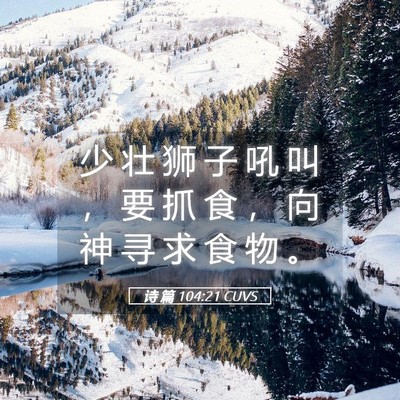 Picture 05 - 诗 篇 104:21 CUVS - 少 壮 狮 子 吼 叫 ， 要 抓 食 ， 向 - Bible Verse Picture