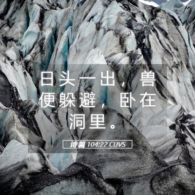 Picture 05 - 诗 篇 104:22 CUVS - 日 头 一 出 ， 兽 便 躲 避 ， 卧 在 - Bible Verse Picture