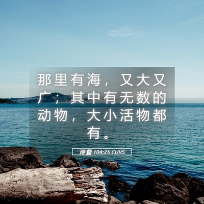 Picture 05 - 诗 篇 104:25 CUVS - 那 里 有 海 ， 又 大 又 广 ； 其 中 - Bible Verse Picture