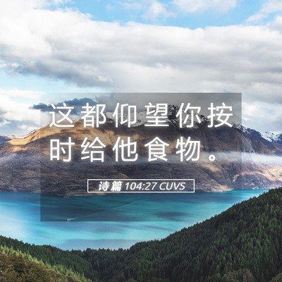 Picture 05 - 诗 篇 104:27 CUVS - 这 都 仰 望 你 按 时 给 他 食 物 - Bible Verse Picture