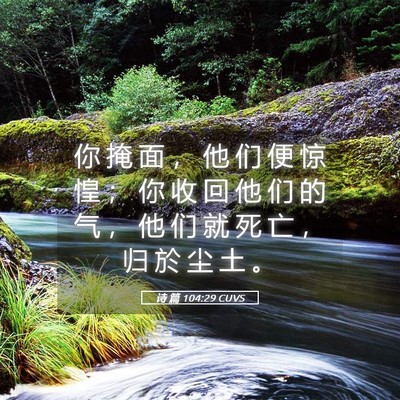 Picture 05 - 诗 篇 104:29 CUVS - 你 掩 面 ， 他 们 便 惊 惶 ； 你 收 - Bible Verse Picture