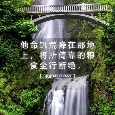 Picture 05 - 诗 篇 105:16 CUVS - 他 命 饥 荒 降 在 那 地 上 ， 将 所 - Bible Verse Picture