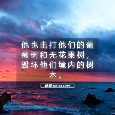 Picture 05 - 诗 篇 105:33 CUVS - 他 也 击 打 他 们 的 葡 萄 树 和 无 - Bible Verse Picture