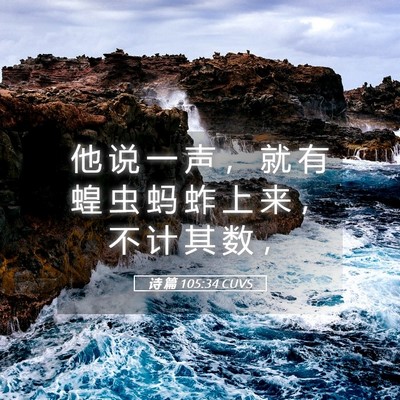 Picture 05 - 诗 篇 105:34 CUVS - 他 说 一 声 ， 就 有 蝗 虫 蚂 蚱 上 - Bible Verse Picture